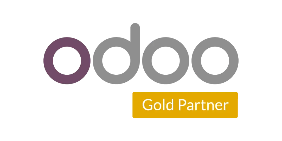 Odoo Gold Partner in Egypt, ERP Implementation 