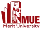 Merit University logo